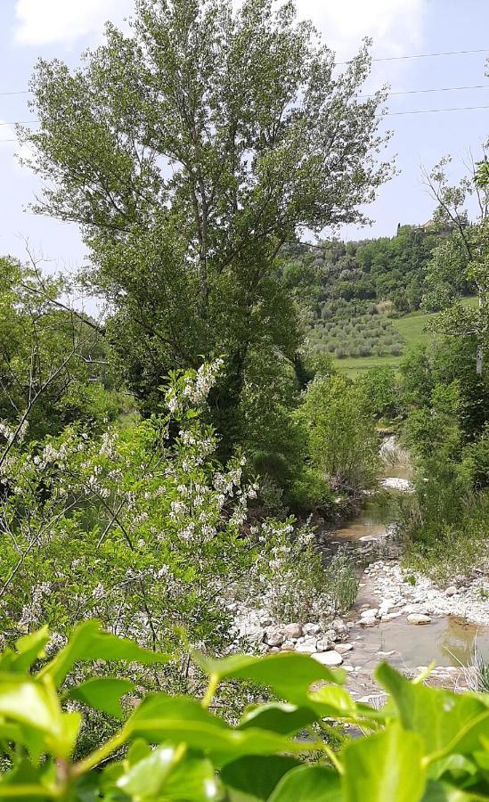 וולטרה Podere Pian Dei Gelsi מראה חיצוני תמונה