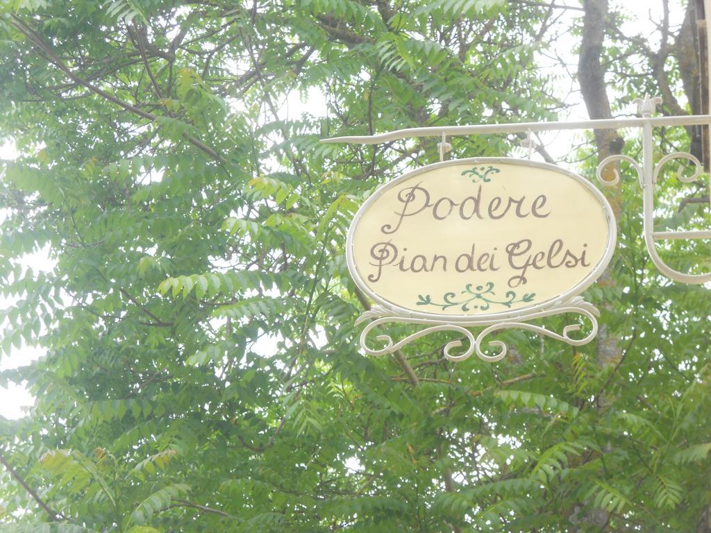 וולטרה Podere Pian Dei Gelsi מראה חיצוני תמונה